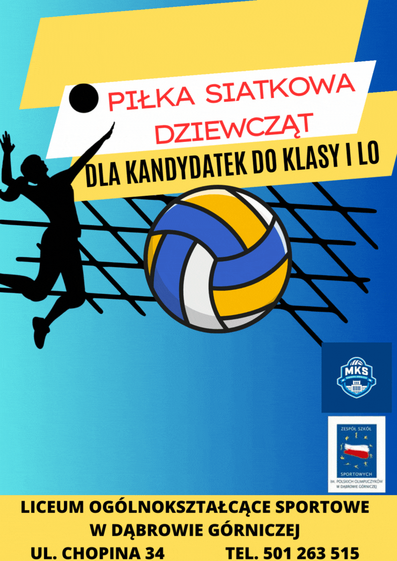 Black And Yellow Modern VolleyBall Tournament Poster