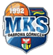 logo mks basket